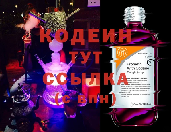 хмурый Белокуриха