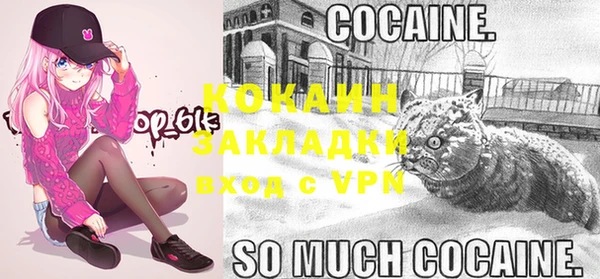 крисы Беломорск