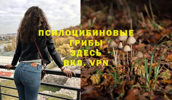 таблы Россошь
